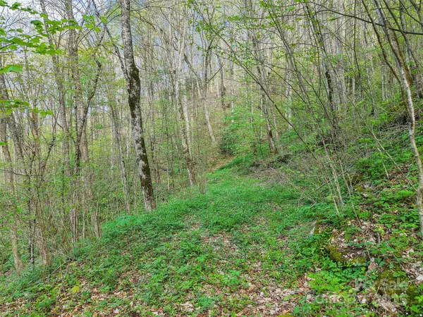 Waynesville, NC 28785,0 Star Crest DR