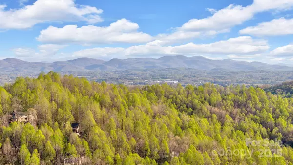 Zirconia, NC 28790,246 Pinnacle Mountain RD