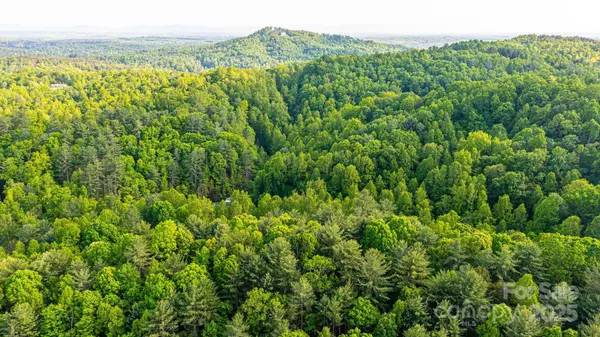 Lenoir, NC 28645,1300 Math PL