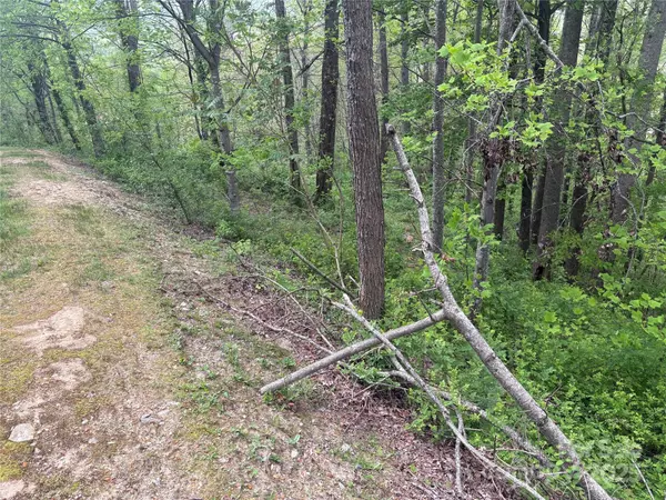 Hendersonville, NC 28792,106 Tatham RD