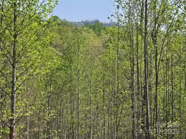 Lot 17 Touch Me Not TRL, Lake Lure, NC 28746