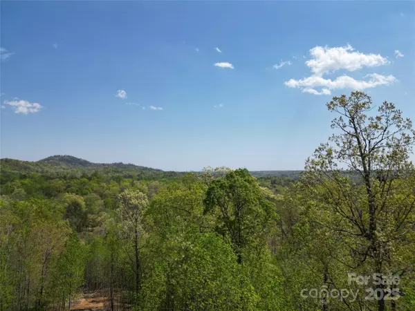 Lake Lure, NC 28746,Lot 17 Touch Me Not TRL