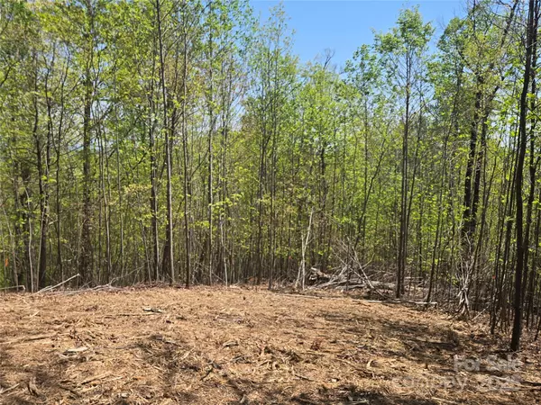 Lot 32 High Rock RDG, Lake Lure, NC 28746