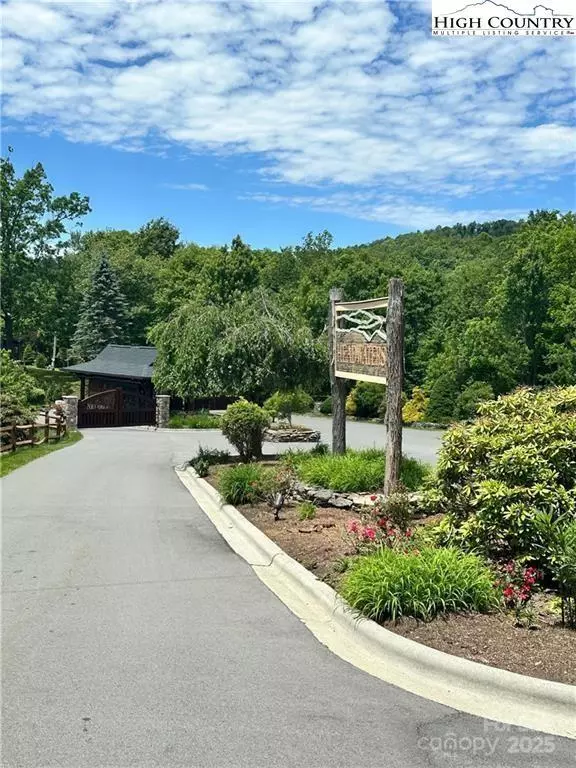 Elk Park, NC 28622,TBD Woodlake Loop RD #LL9