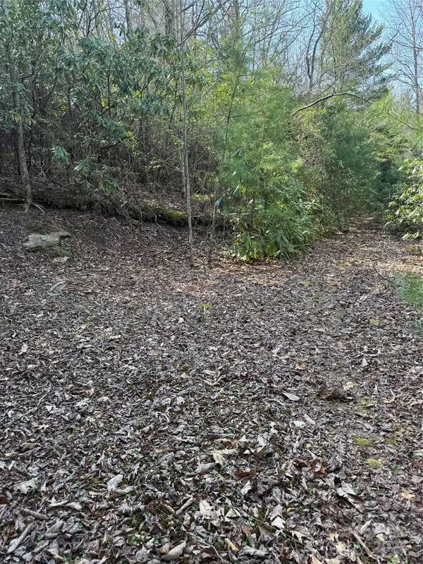Newland, NC 28657,7797 Huskins DR
