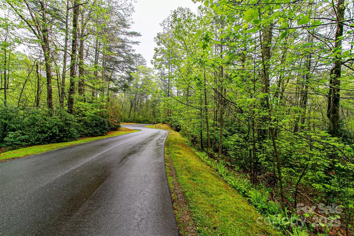 Brevard, NC 28712,TBD High Hemlock TRL #46