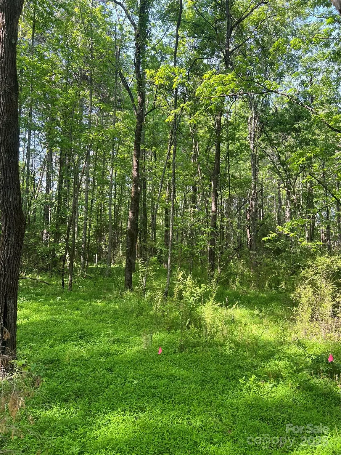 New London, NC 28127,41010 NC HWY 740 HWY #1