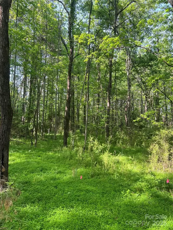 41010 NC HWY 740 HWY #1, New London, NC 28127