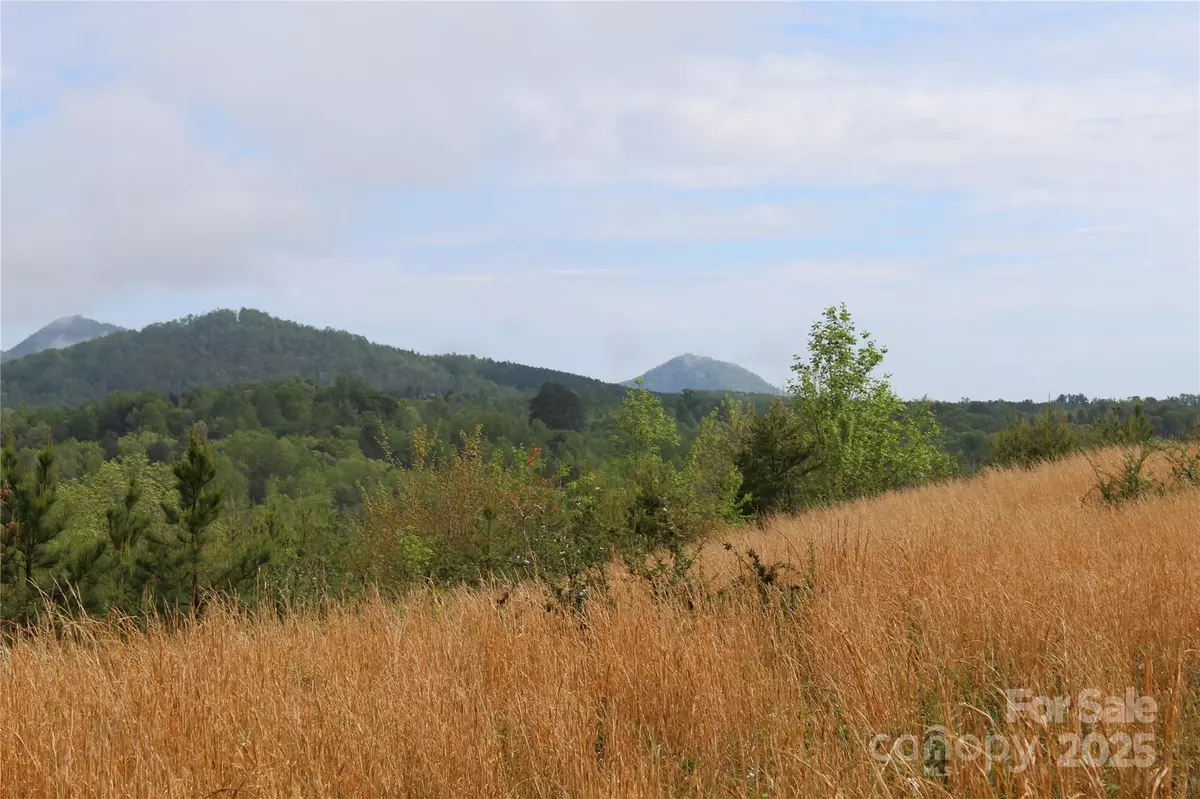 Rutherfordton, NC 28139,332 Parris RD