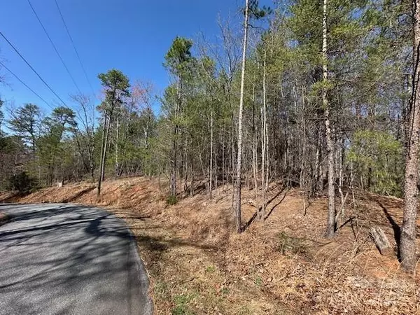 0 Hawthorne DR #1, 17, 18, Lake Lure, NC 28746