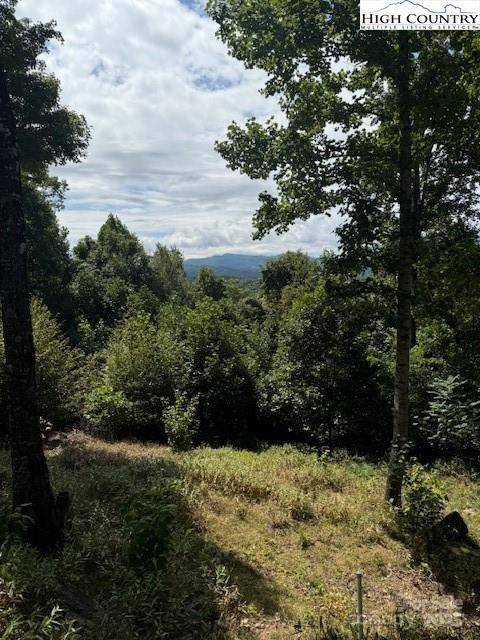 Elk Park, NC 28622,TBD Heritage Ridge RD #H8