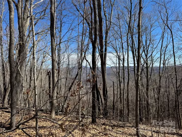 Newland, NC 28657,TBD Doublehead Mountain RD