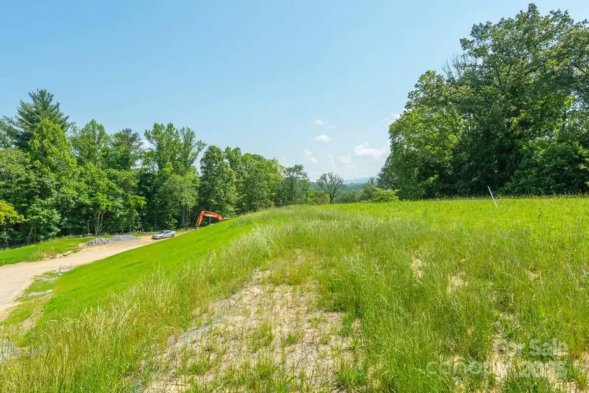 Asheville, NC 28804,116 Lilikoi LN #95
