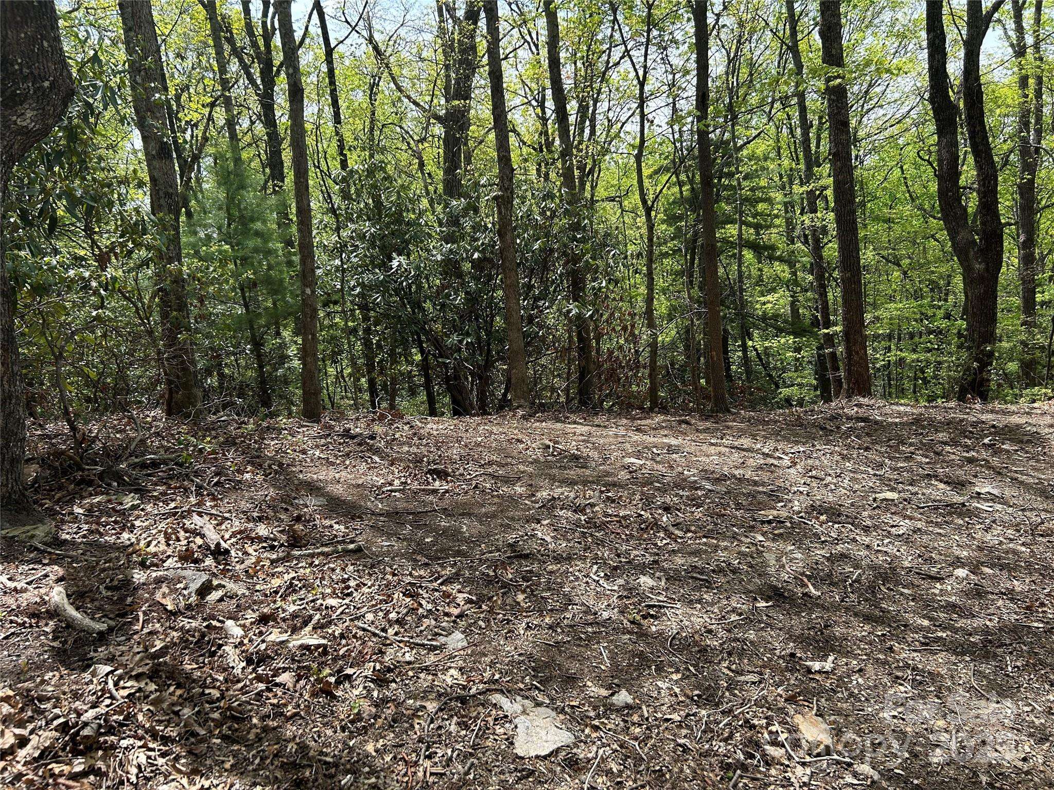 Hendersonville, NC 28792,000 John Delk RD #2