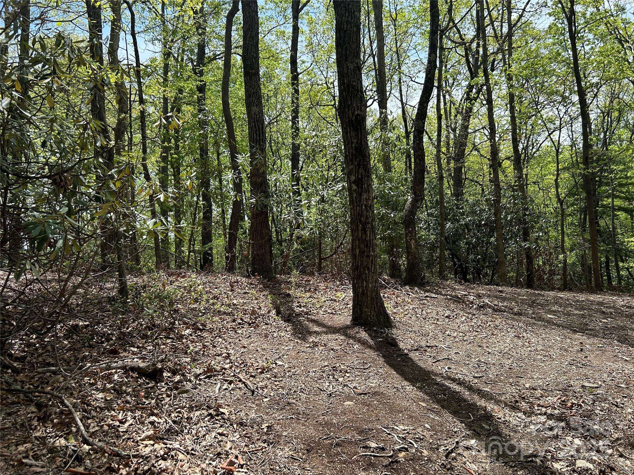 Hendersonville, NC 28792,000 John Delk RD #2