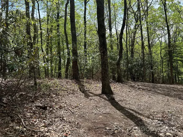 Hendersonville, NC 28792,000 John Delk RD #2&6