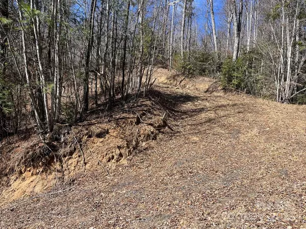 Burnsville, NC 28714,000 Trinity PL