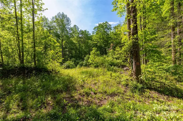 Nebo, NC 28761,4659 Cedar Brook LN #16