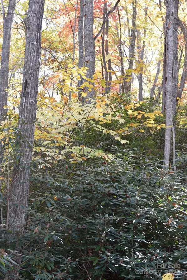 Burnsville, NC 28714,TBD Clear Creek RD