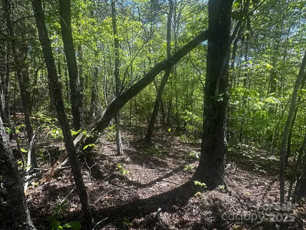 Lake Lure, NC 28746,0000 Nors WAY