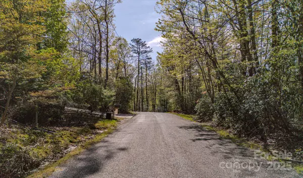 Brevard, NC 28712,TBD Juniper LN