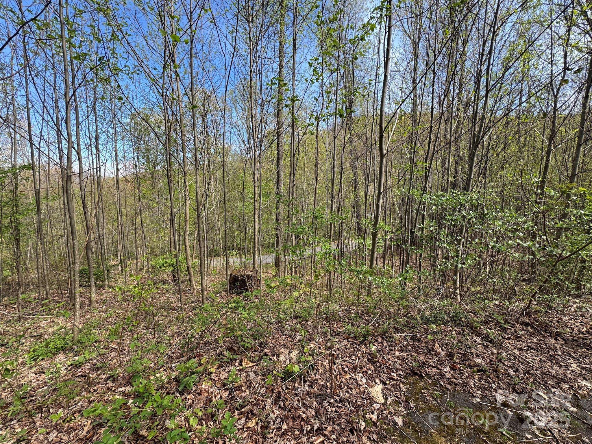 Waynesville, NC 28786,TBD (C) Chestnut Walk DR