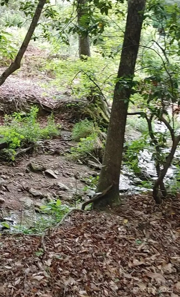 Granite Falls, NC 28630,5610 Creeks Edge LN
