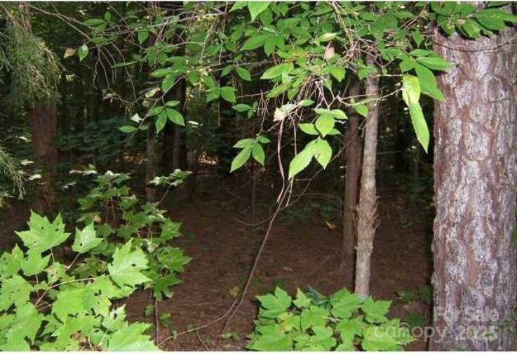 Louisburg, NC 27549,104 Shaman DR