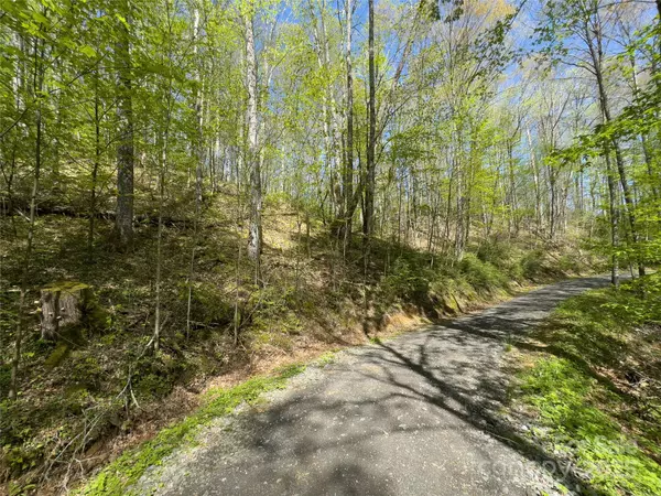 Qualla, NC 28719,Lot 64 Big Springs TRL #64