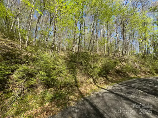 Qualla, NC 28719,Lot 64 Big Springs TRL #64