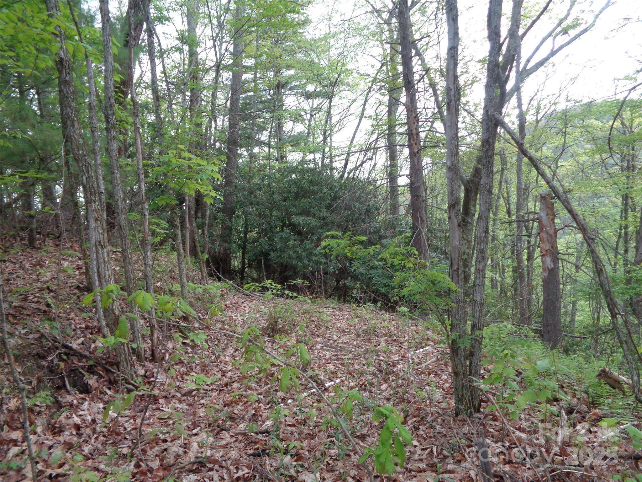 00 Promiseland RD, Canton, NC 28716