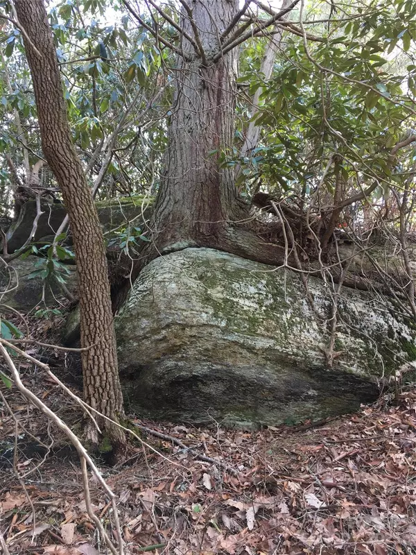 Cedar Mountain, NC 28718,999 Lakewood DR