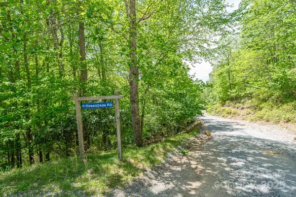 Beech Mountain, NC 28604,301 Jackpine RD