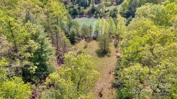 Horse Shoe, NC 28742,630 Stonefly DR