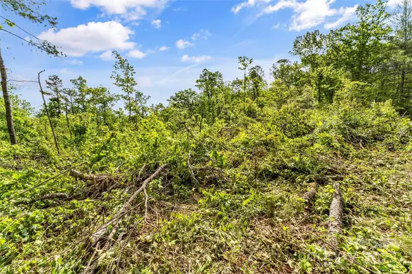 Marion, NC 28752,377 Amelia DR