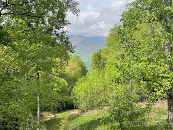 930 Copperhead CV, Sylva, NC 28779