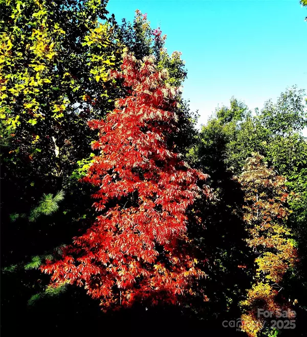 Millers Creek, NC 28651,132 Vacation WAY