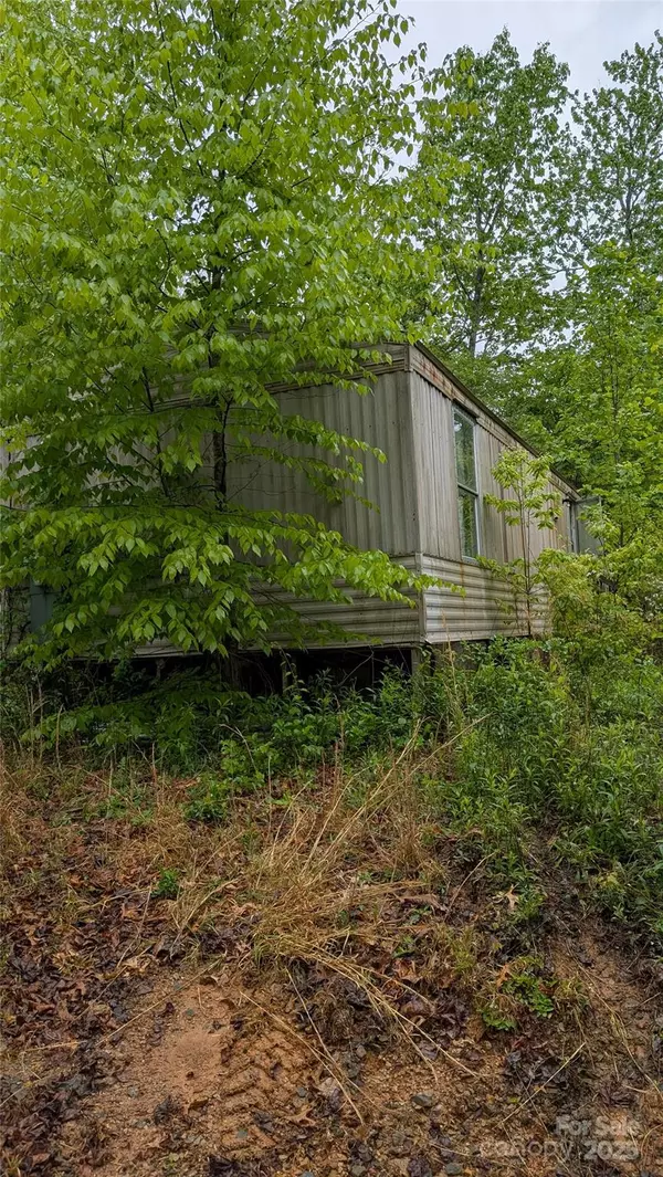 Horse Shoe, NC 28742,821 Turkey Pen Gap RD