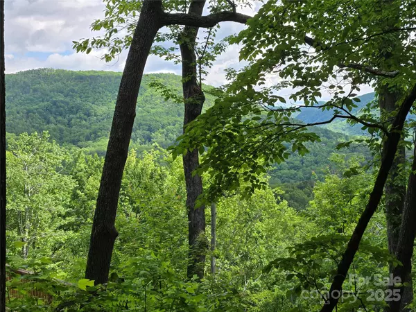 Lake Lure, NC 28746,Lot 230 Swallow LN
