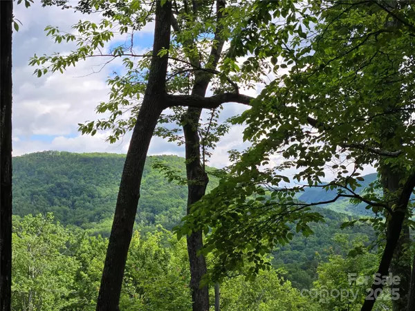 Lake Lure, NC 28746,Lot 230 Swallow LN