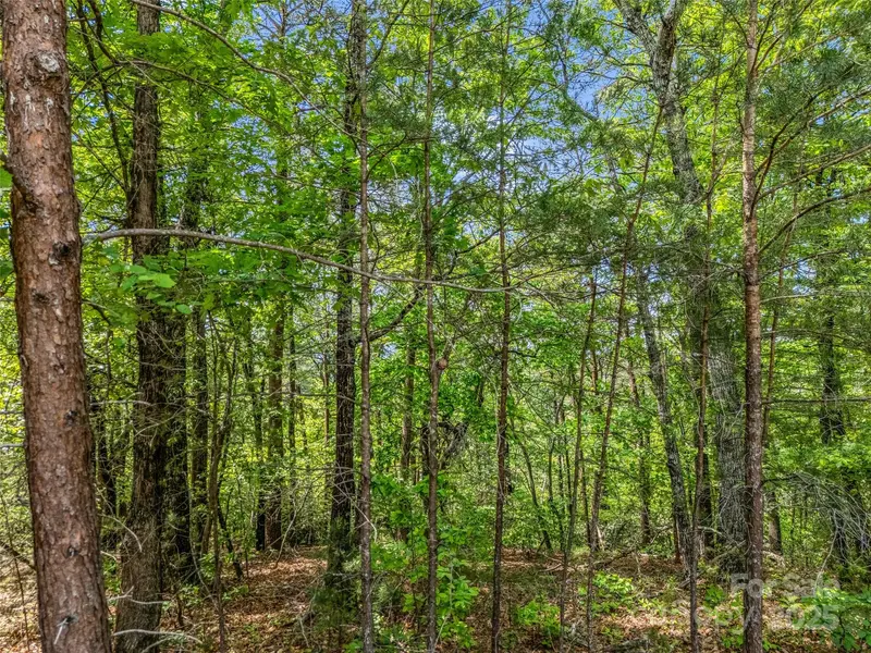 4 Woodward DR, Mill Spring, NC 28756