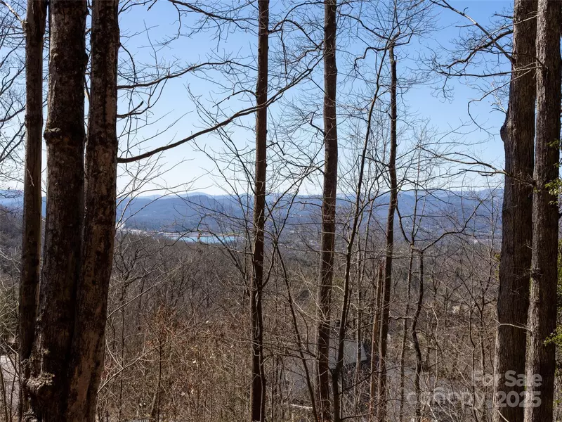 19 Giffords LN #8, Asheville, NC 28803