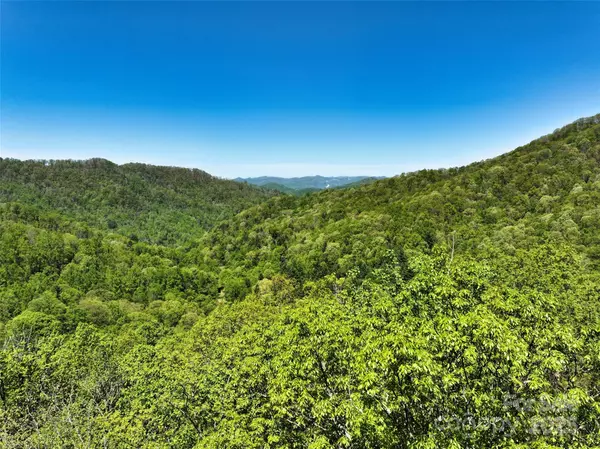 Barnardsville, NC 28709,99999 Anderson Cove RD