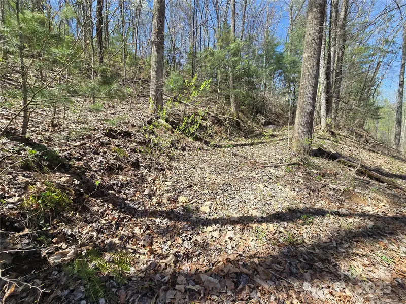 00 Riverside DR #33/34, Whittier, NC 28789