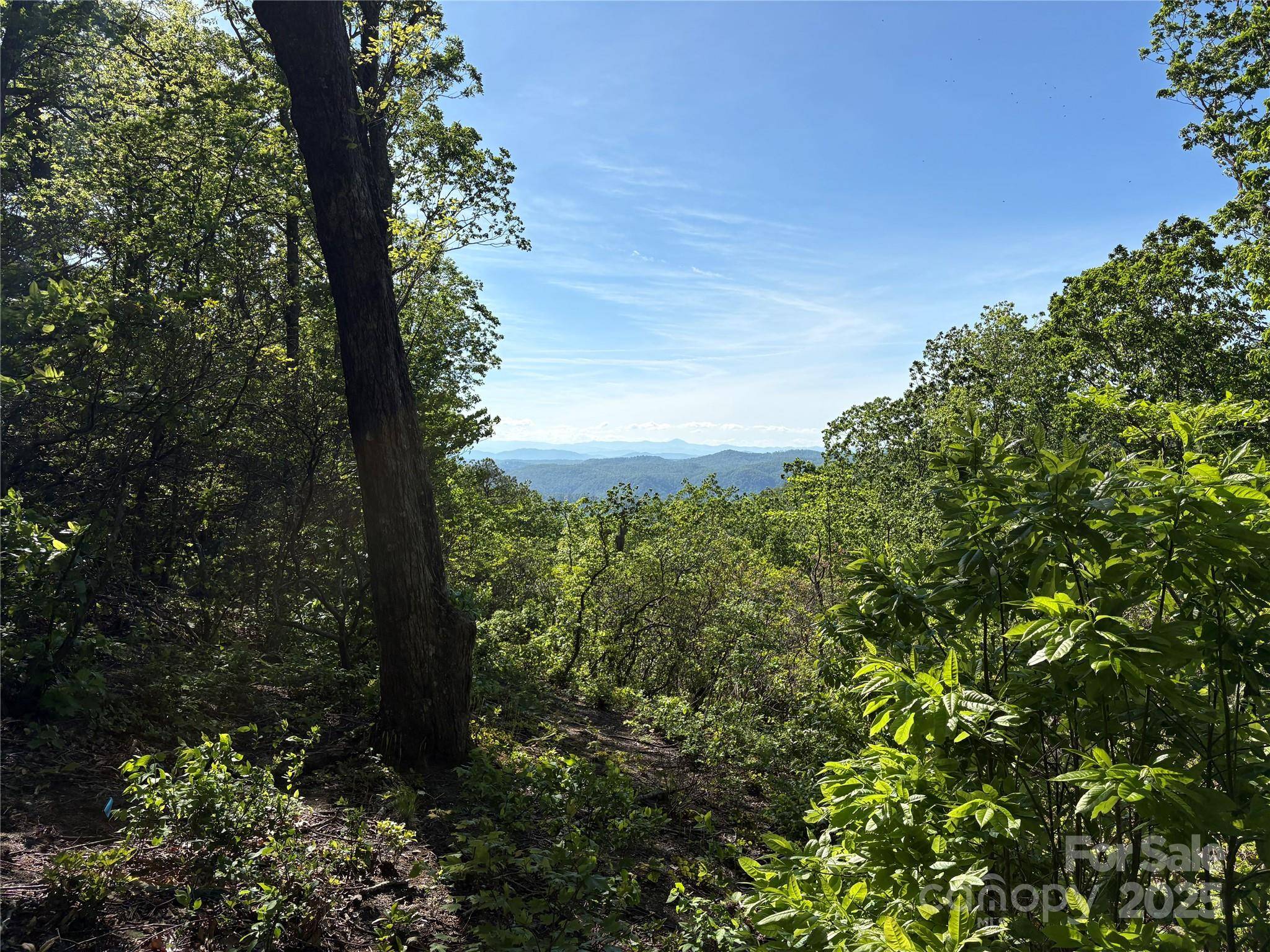 Saluda, NC 28773,Lot 6 Miller Mountain RD #6