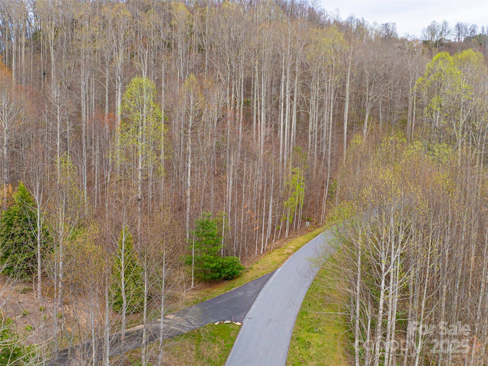 Hendersonville, NC 28739,770 Somersby Pkwy