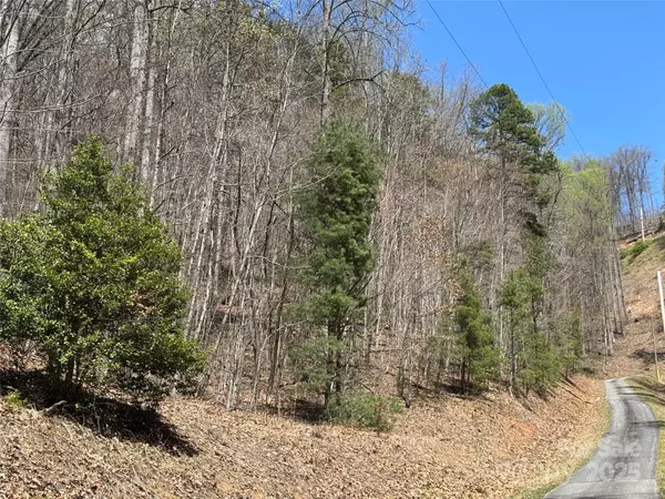 Bryson City, NC 28713,0 Forest Hills RD
