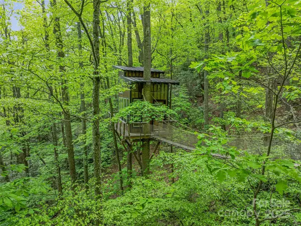 Candler, NC 28715,59 Pisgah Mountain TRL