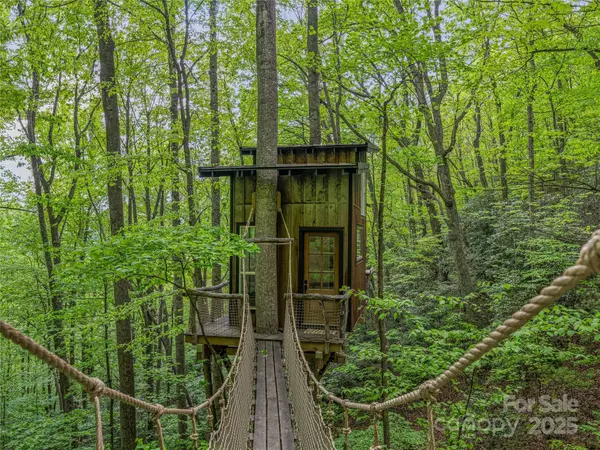 Candler, NC 28715,59 Pisgah Mountain TRL