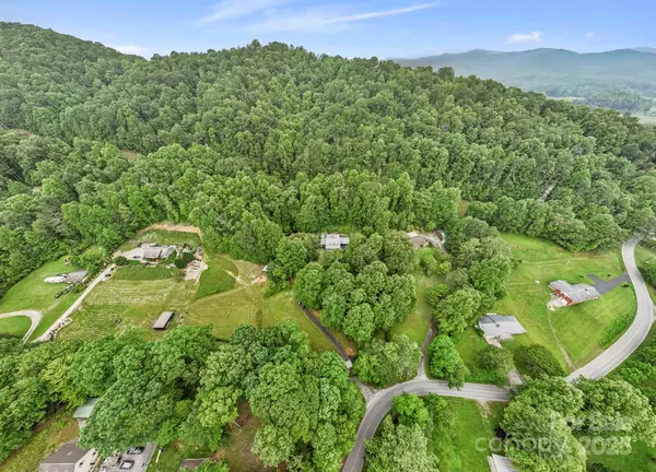 Brevard, NC 28712,10 Kettle Creek LN